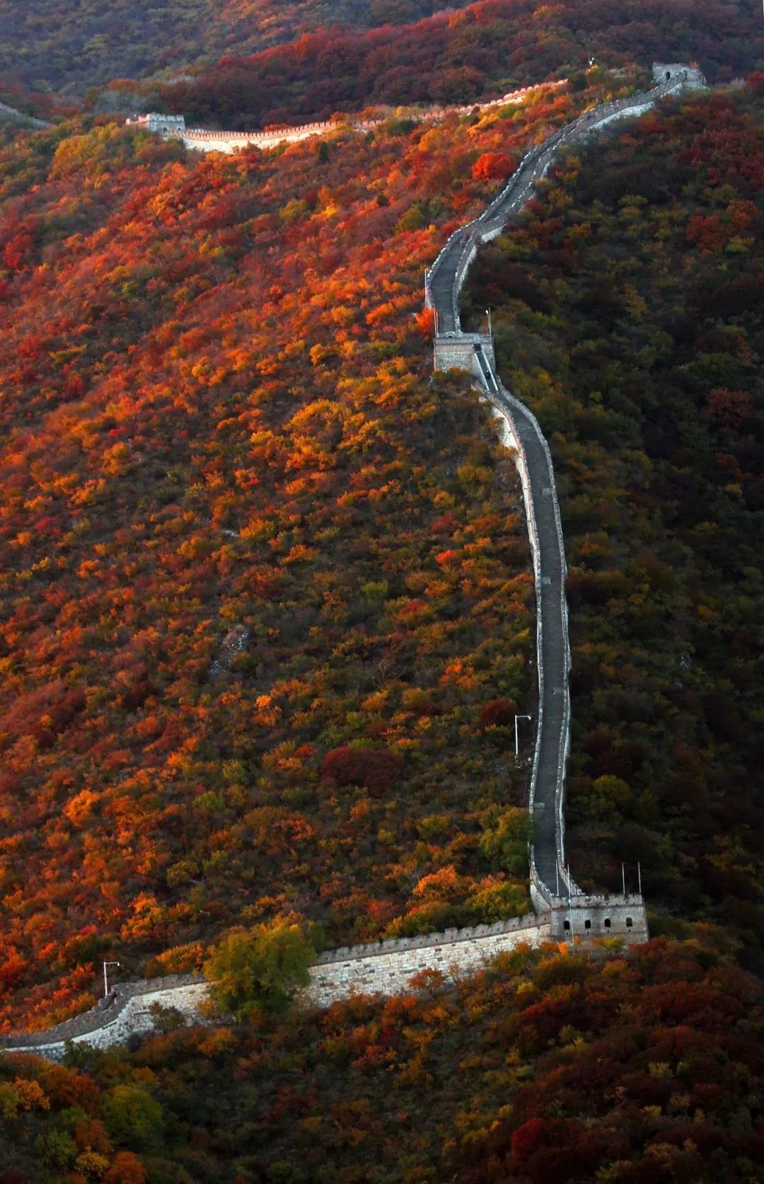 长城红叶进入观赏期，来此感受“万山红遍”9315 作者:少爷身上有妖气 帖子ID:356678 