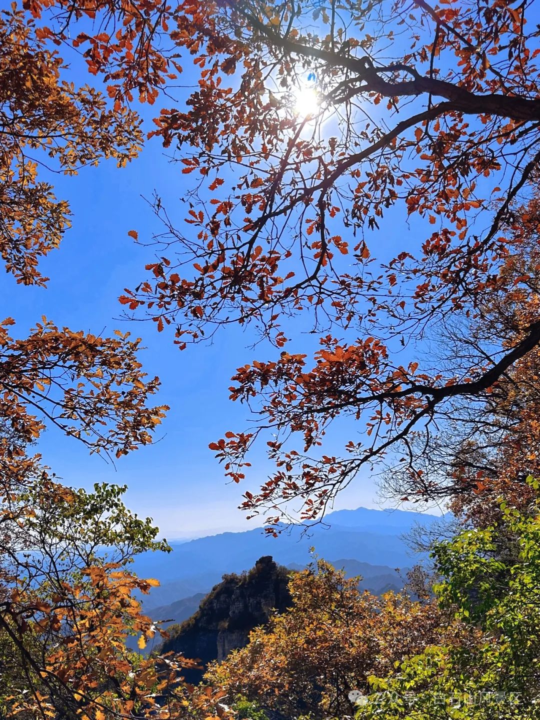 “顶峰”相见，解锁河北冬日山峰新玩法2264 作者:北漂宝妈 帖子ID:366443 