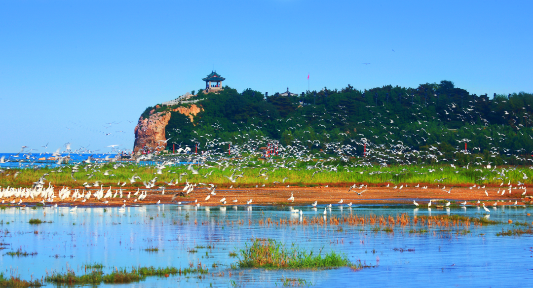 沿着这条海岸线，解锁河北的滨海浪漫5867 作者:北漂宝妈 帖子ID:354326 