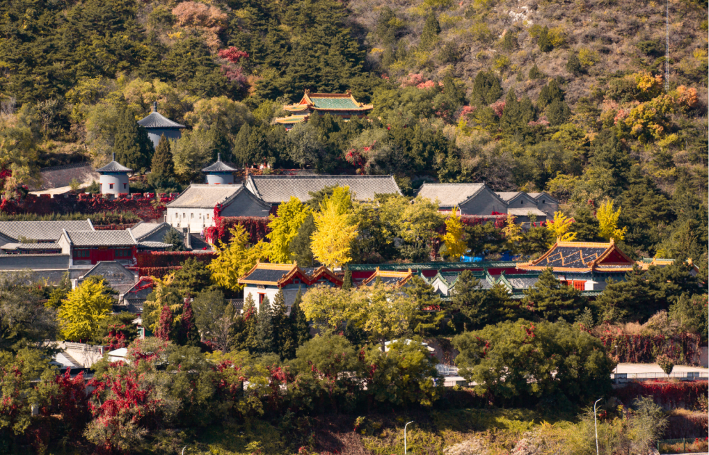 长城红叶进入观赏期，来此感受“万山红遍”4589 作者:少爷身上有妖气 帖子ID:356678 