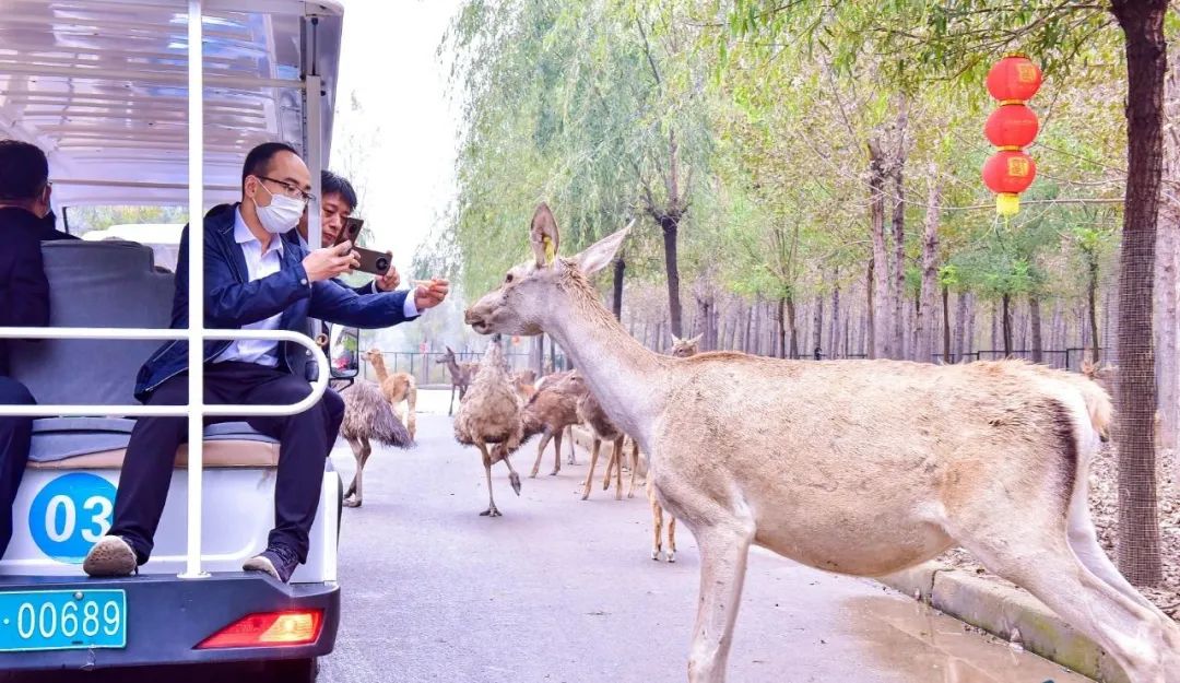 寓教于乐，快乐秋游！6条线路带你在衡水开启知识的奇妙旅程~898 作者:北漂宝妈 帖子ID:357642 