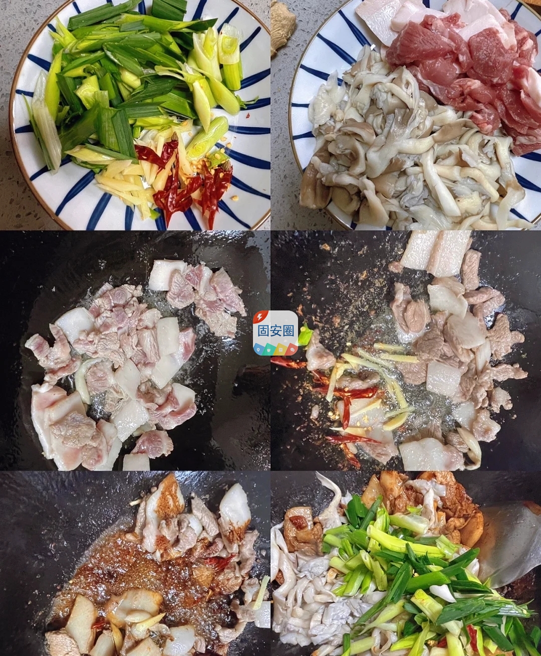 超级好吃的!蘑菇炒肉片，简单好做，鲜香浓郁好吃又下饭2943 作者:夜的第七章 帖子ID:117946 