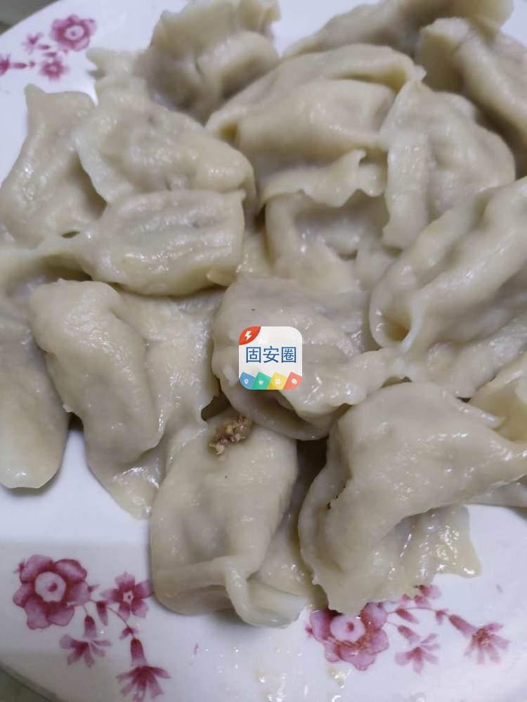 中午包的饺子， 肉馅还有汤汁哦，雨天配饺子。7916 作者:雨下的樱花 帖子ID:123598 