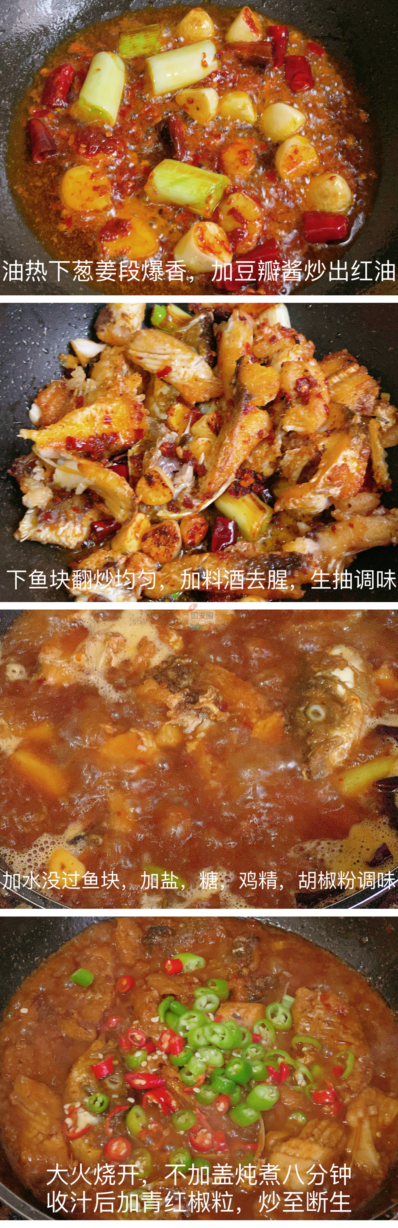 鲜香味美，浓郁入味且超级下饭的红烧鱼块，喜欢吃鱼的可以试一下哦！1320 作者:嚯嚯嚯嚯 帖子ID:137152 