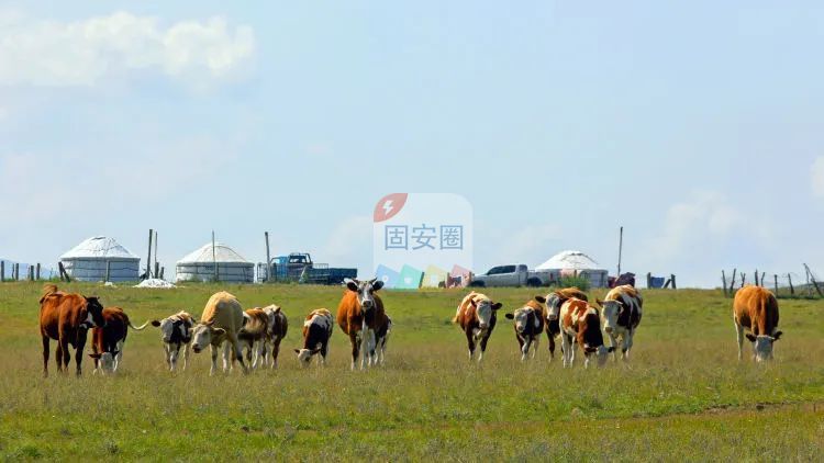 现在疫情放开，终于可以出门旅游了，现在先在网上看看美景6315 作者:尚书 帖子ID:154122 