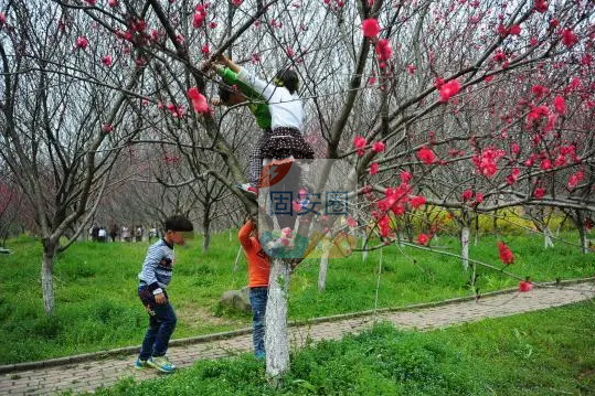 现在的孩子真缺乏教育5694 作者:酸酸甜甜小桔子 帖子ID:206678 现在,现在的,孩子,缺乏,教育