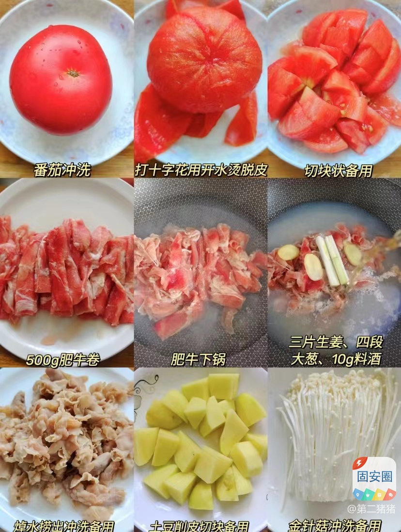 番茄肥牛金针菇-——好吃到连汤都不剩6042 作者:第二猪猪 帖子ID:244310 番茄,金针菇,——,好吃
