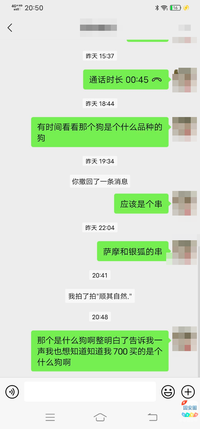 八月份买的博美现在变异了变串了，圈友们说说我该怎么办3789 作者:@固安@ 帖子ID:259712 月份,买的,博美,现在,变异