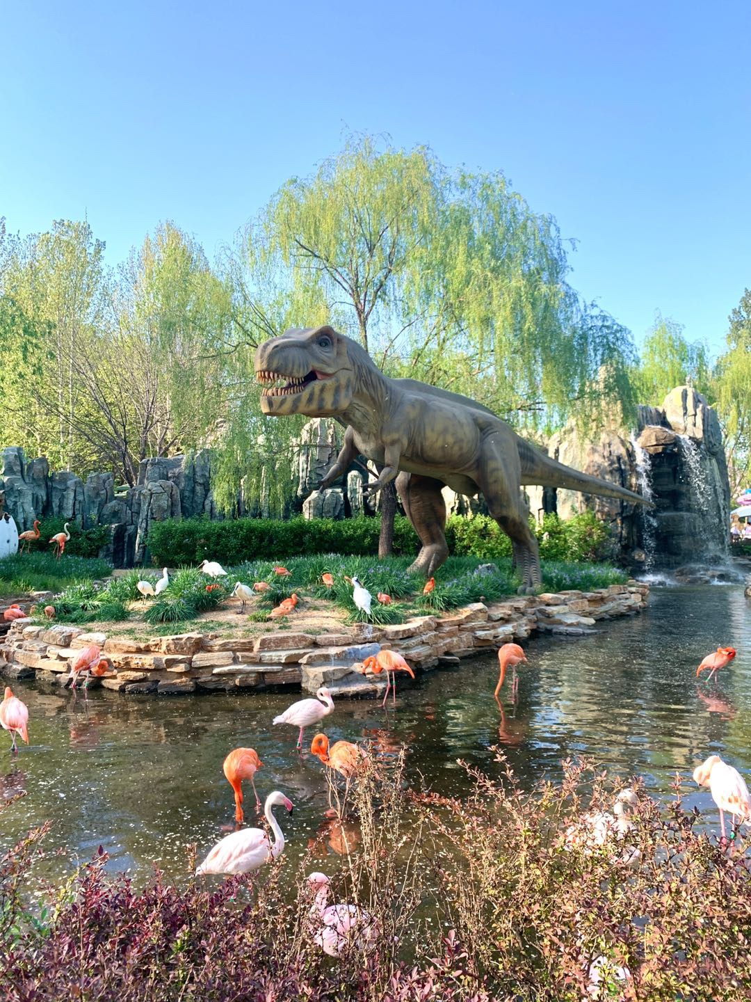 最近天气好好，最爱去北京大兴动物园了409 作者:固安小仙女儿 帖子ID:73096 