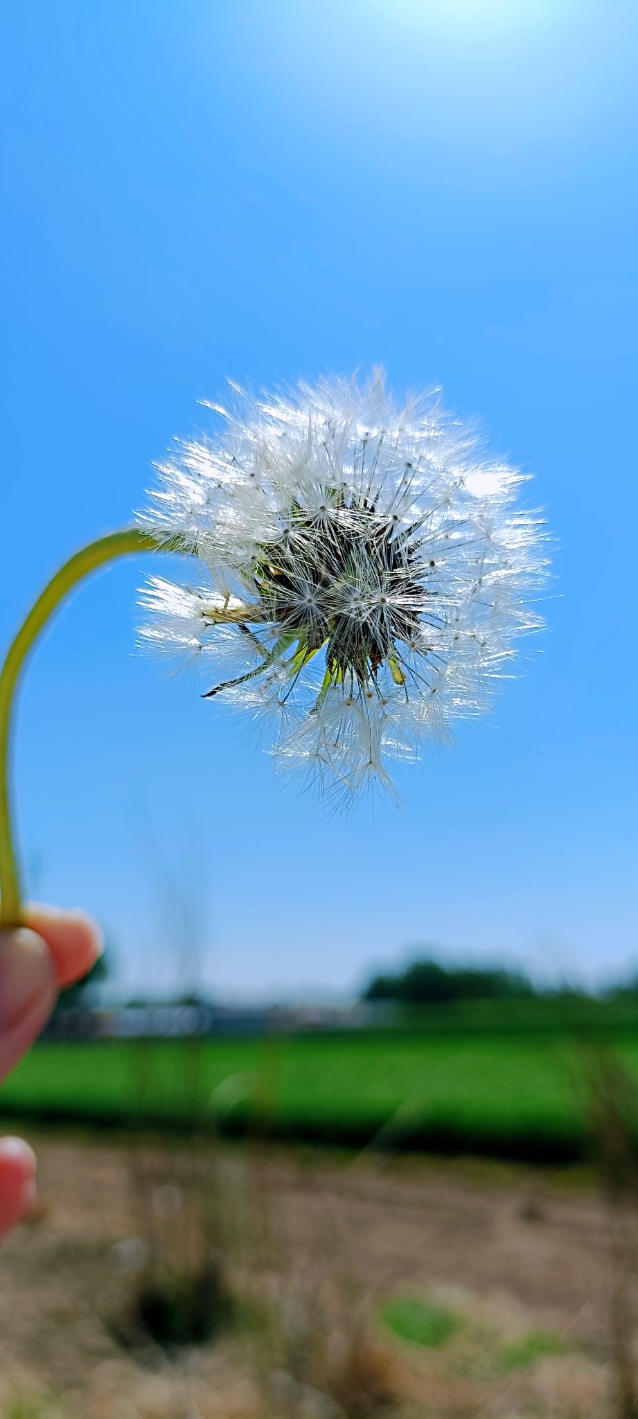 又是限量版的一天9565 作者:1803169829 帖子ID:75196 