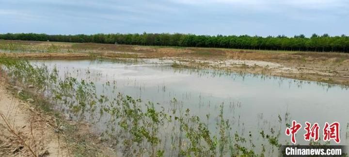 永定河生态补水已进入河北固安 预计5月中旬全线贯通2696 作者:剑客 帖子ID:77054 永定河,生态,补水,进入,河北