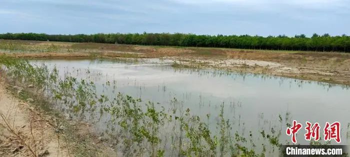 【央媒看固安】永定河生态补水已进入河北固安 预计5月中旬全线贯通5585 作者:峰华花园 帖子ID:78367 永定河,生态,补水,进入,河北