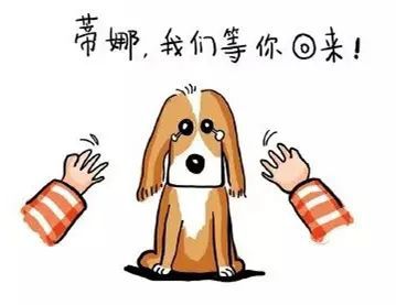 【文明养犬】养狗！为什么一定要办犬证？7742 作者:峰华花园 帖子ID:80392 文明,文明养犬,养狗,为什么,什么