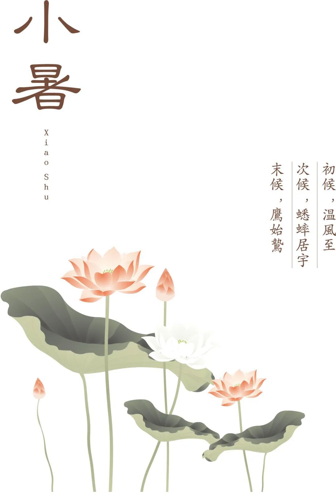 24节气：小暑已来，三伏将至。101 作者:峰华花园 帖子ID:98263 