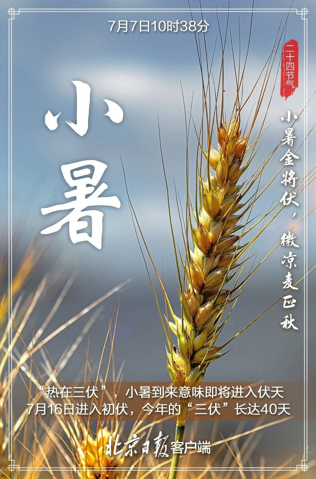 今日小暑！温风至，小暑来，长夏至此盛8583 作者:平衡车 帖子ID:98271 今日,小暑,温风