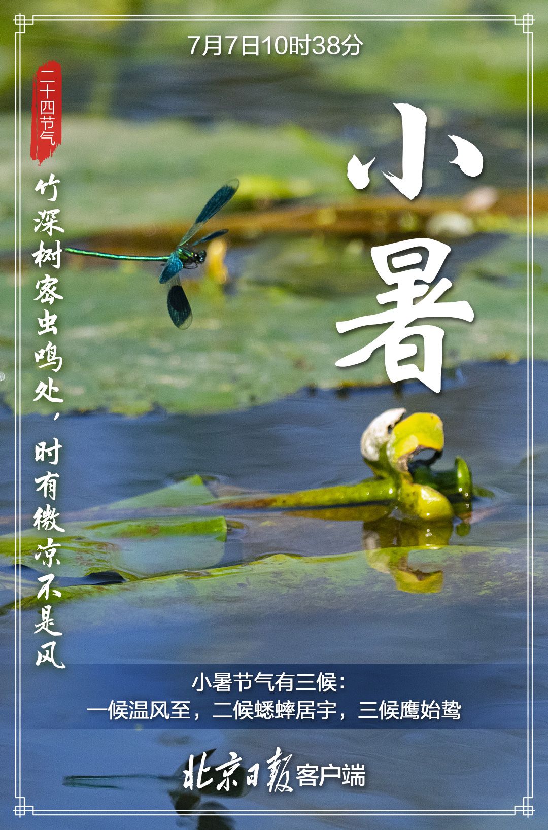 今日小暑！温风至，小暑来，长夏至此盛9443 作者:平衡车 帖子ID:98271 今日,小暑,温风