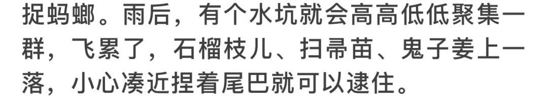 一组河北人过夏天的老照片！刷爆朋友圈…6678 作者:峰华花园 帖子ID:101177 河北,夏天的,朋友,朋友圈