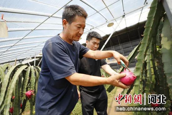 【媒体聚焦】“农场经济”拓宽乡村振兴致富路6478 作者:峰华花园 帖子ID:109555 