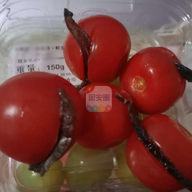 酸酸甜甜的乌梅番茄，吃上一个太解腻了！1378 作者:啾啾九九 帖子ID:135981 