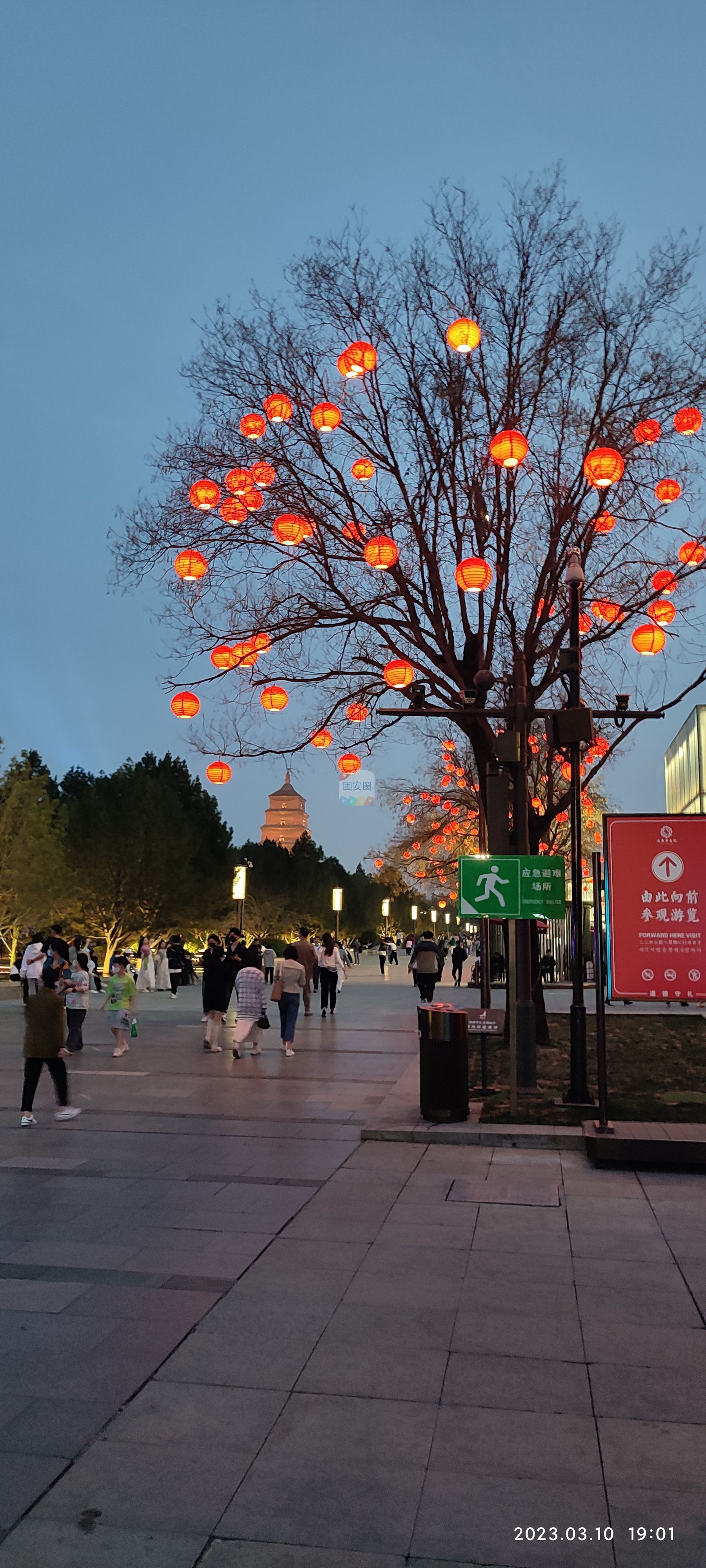 快乐春天509 作者:好的好 帖子ID:187619 快乐,春天