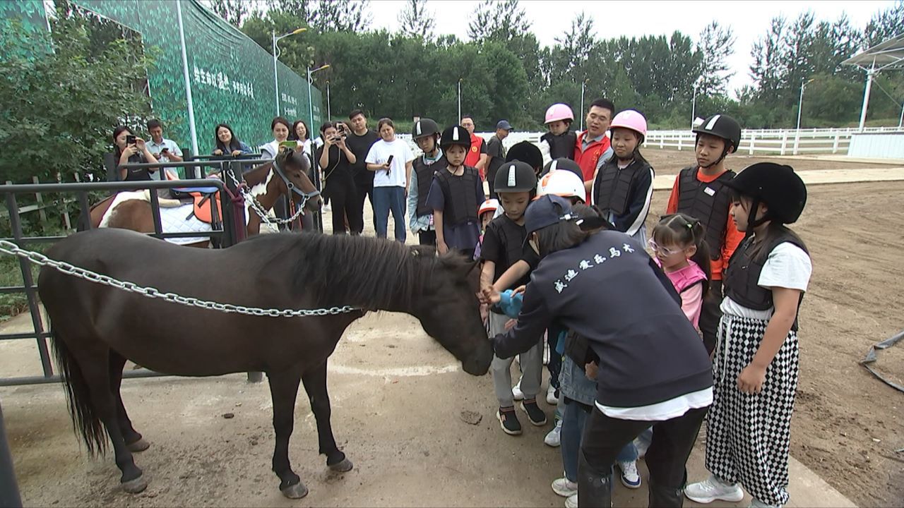 金色固安希望田园系列活动之固安镇开展小手拉大手以梦为马 与风同行亲子马术主题活动2823 作者:乁沙漠 帖子ID:249664 金色,固安,希望,田园,系列