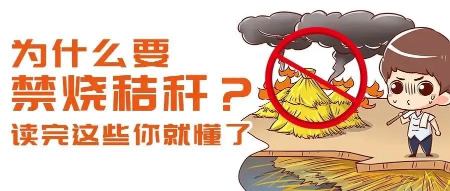 严禁！露天焚烧秸秆危险又违法4621 作者:峰华花园 帖子ID:255542 严禁,露天,焚烧,秸秆,危险