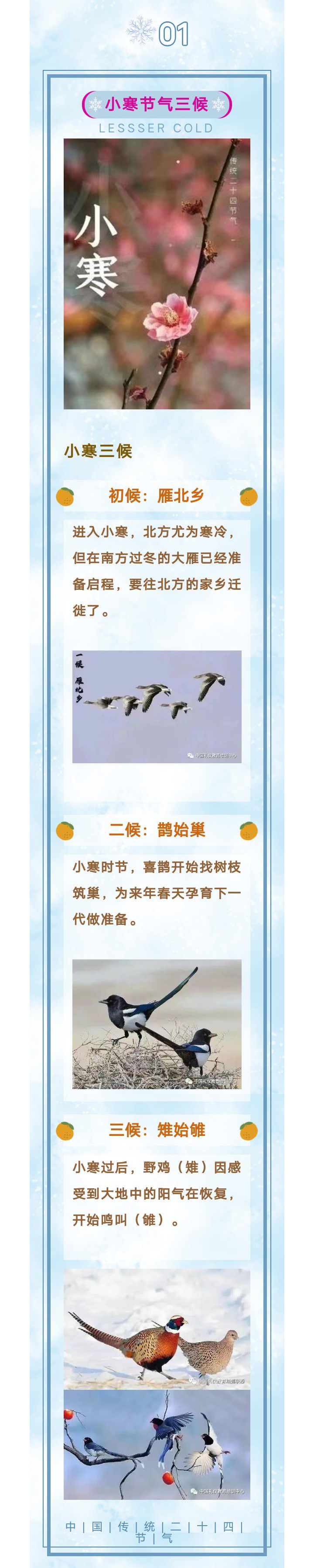 二十四节气 今日小寒节气与传统习俗！7879 作者:峰华花园 帖子ID:275406 二十四节,二十四节气,今日,小寒,节气