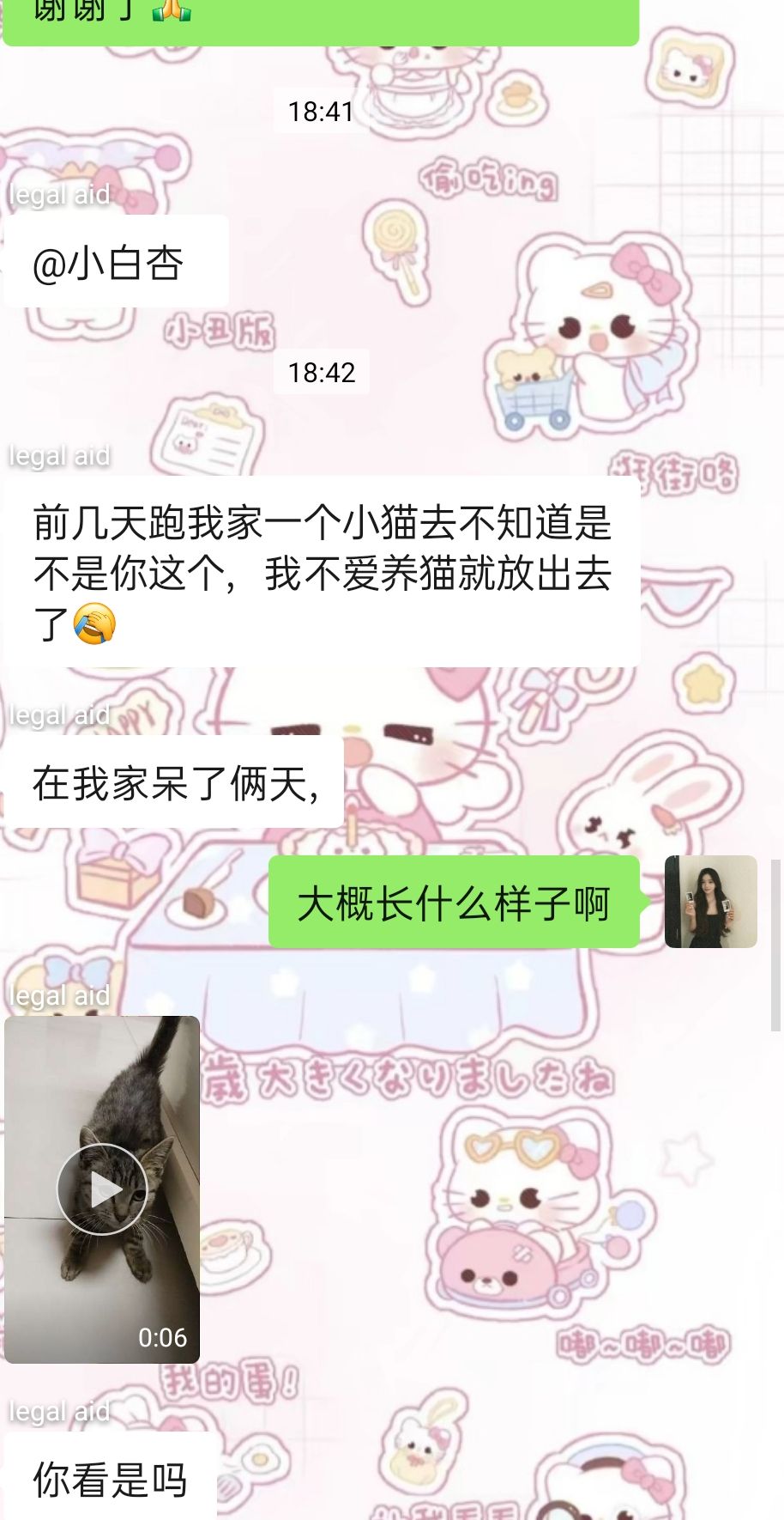 寻猫启示找到必有酬金3347 作者:小白杏 帖子ID:279124 启示,找到,必有,酬金