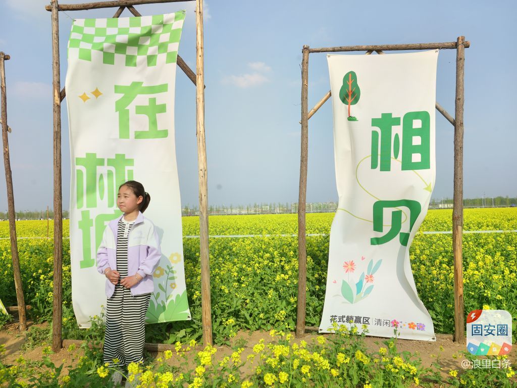 固安林城油菜花节盛大启幕58 作者:浪里白条 帖子ID:301120 油菜花节,菜花节,盛大,启幕