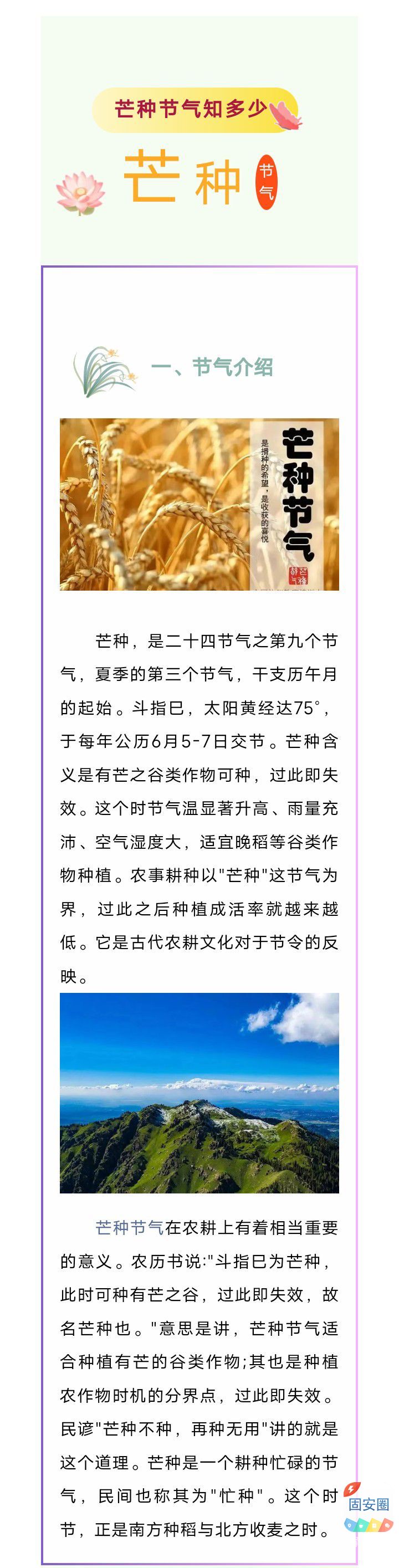 二十四节气“芒种”6月5日芒种节气特点与习俗176 作者:峰华花园 帖子ID:314940 