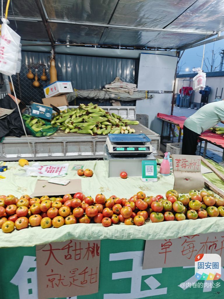 今天去逛市场了，葡萄桃子可以尝尝味了5398 作者:肉卷的肉松多 帖子ID:319311 